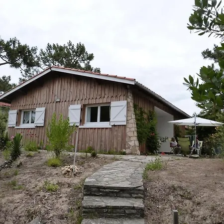 Cap Ferret Cote Ocean Ref 227 Villa
